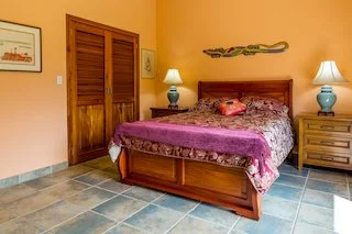 Guest bedroom view 2