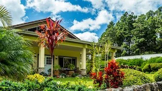 House from garden closer