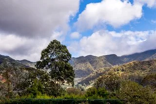 Surrounding mountains and coffee